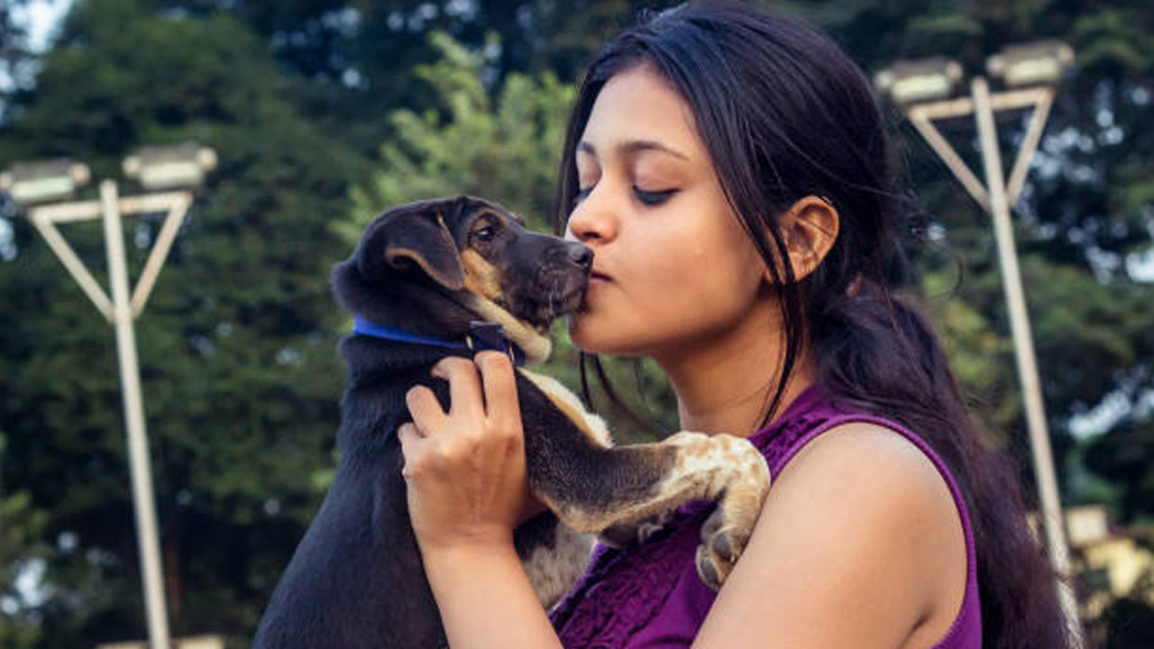 dog-20240419075601 - The Canada Times