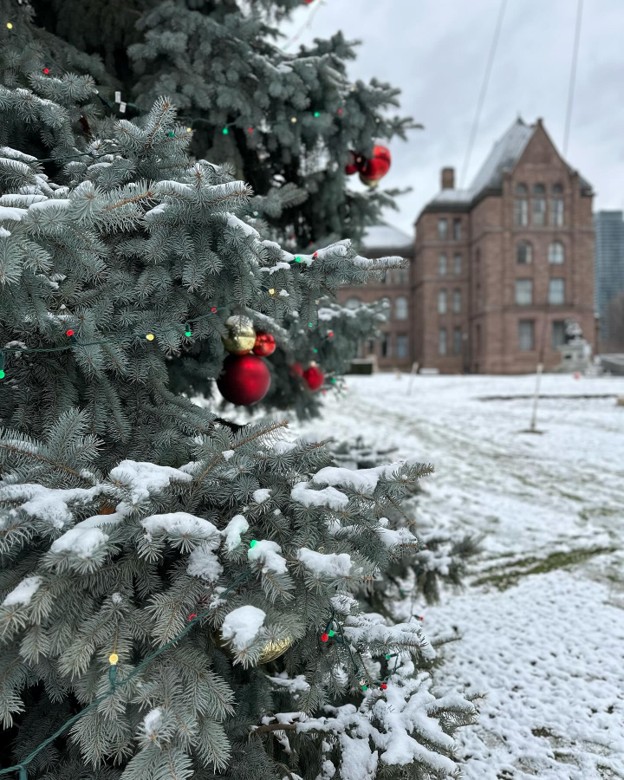 Snow-dusted evergreen tree with red and gold ornaments and colorful lights, set against a snowy lawn and a brick building in the background.