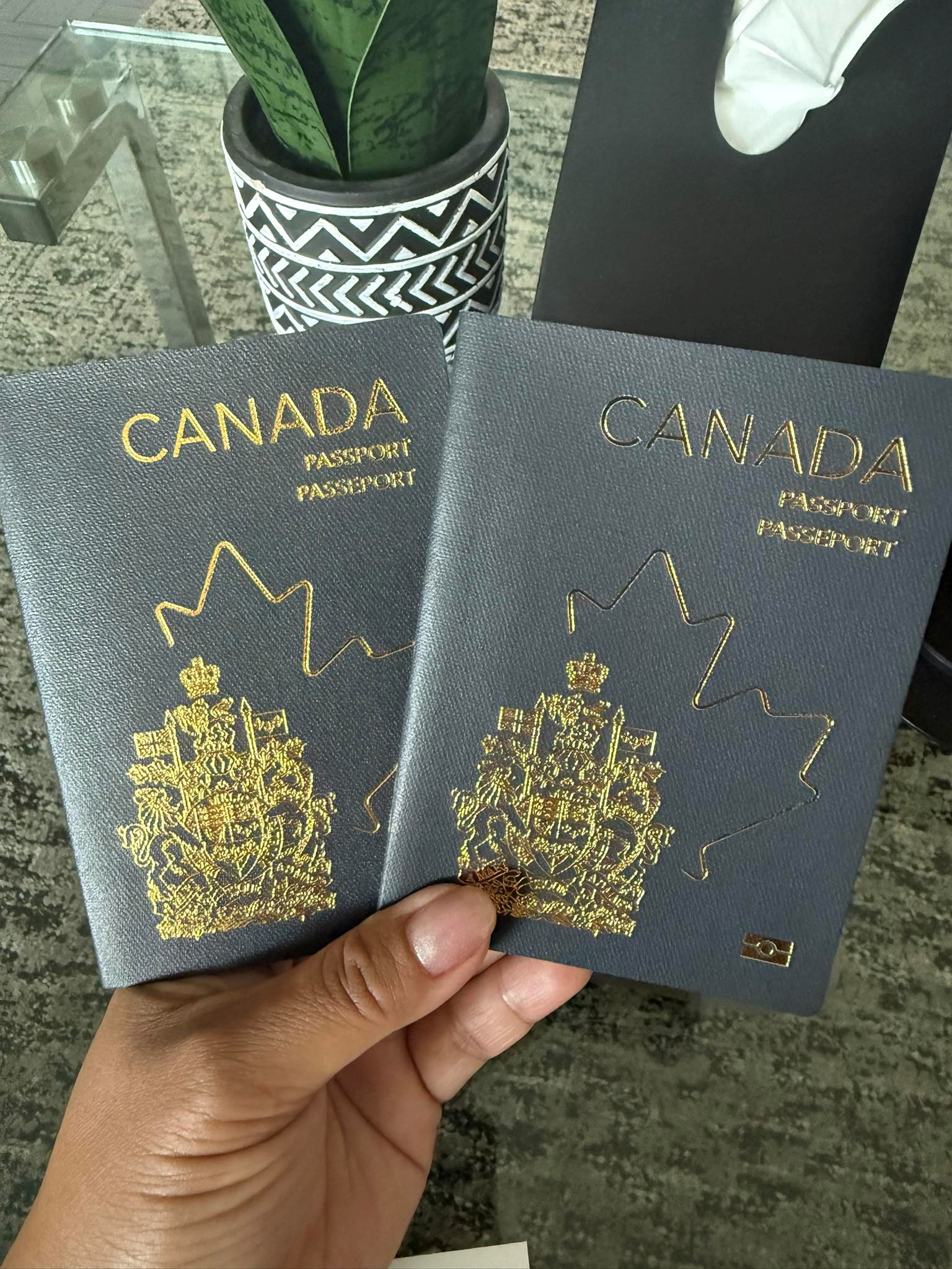 2 - The Canada Times