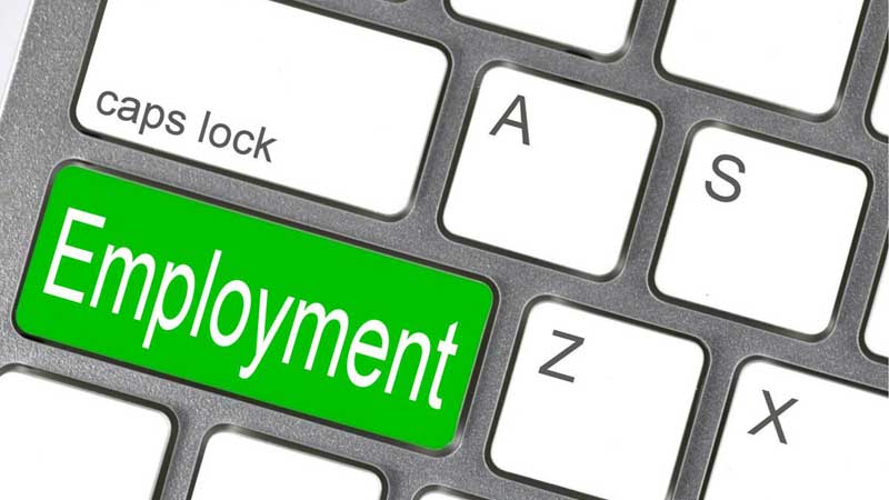 employment_Picpedia_450 - The Canada Times