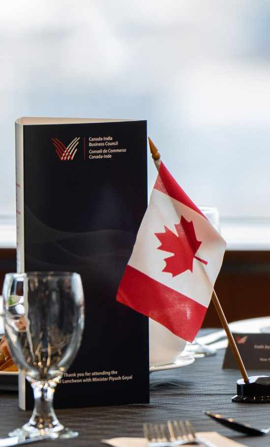 11 - The Canada Times