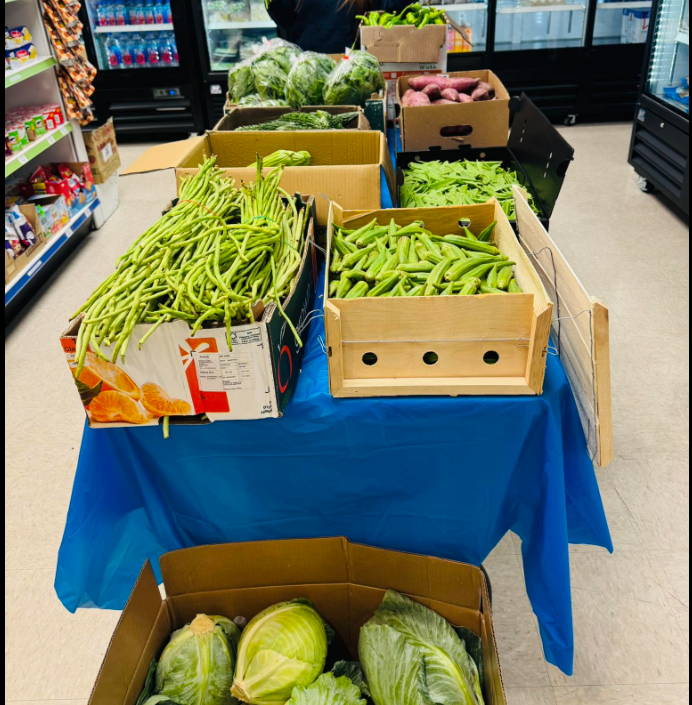 4 - The Canada Times Fresh vegetables displayed in a grocery store: crates of green beans/okra, lettuce, and cabbage on a blue tablecloth- covered table.