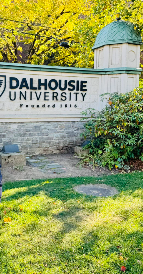 7 - The Canada Times Dalhousie University sign on a stone wall with golden autumn trees in the background, and a small shrub nearby.
